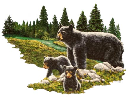 Bear Cubs River