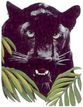 Panther Head