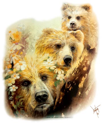 Floral Bears