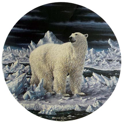 Polar Bear Circle