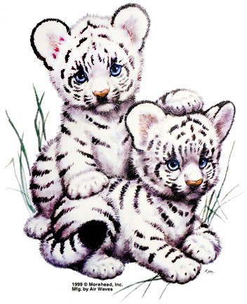 White Tigers Cubs