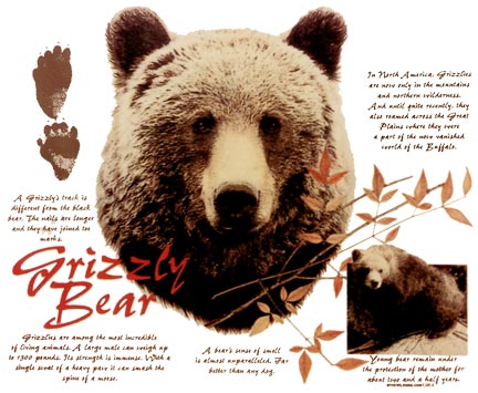 Grizzly with Info