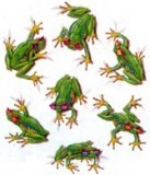 Cool Frogs