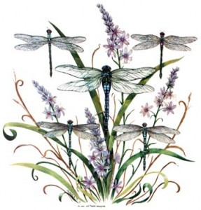 Dragonfly Flowers