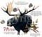 Moose with Info